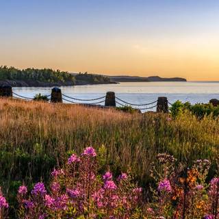 Lee State Park wallpaper