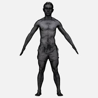 Body bases wallpaper