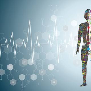 Body bases wallpaper