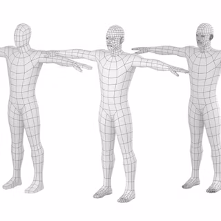 Body bases wallpaper