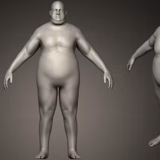 Body bases wallpaper