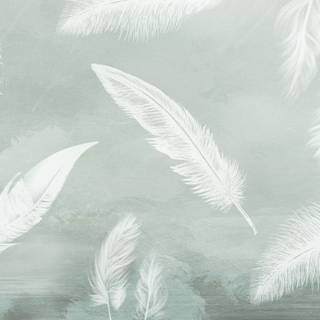 White feathers wallpaper