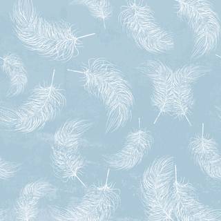 White feathers wallpaper