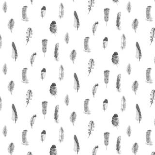 White feathers wallpaper