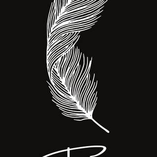 White feathers wallpaper