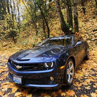 Camaro 2010 iPhone wallpaper