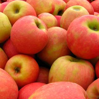 Apple food wallpaper