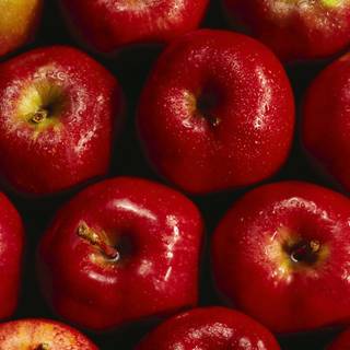 Apple food wallpaper