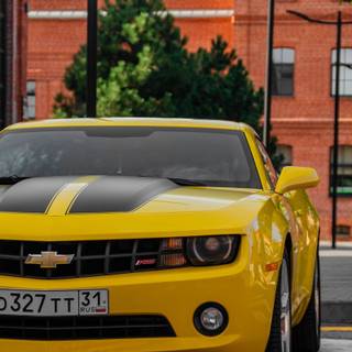 Camaro 2010 iPhone wallpaper