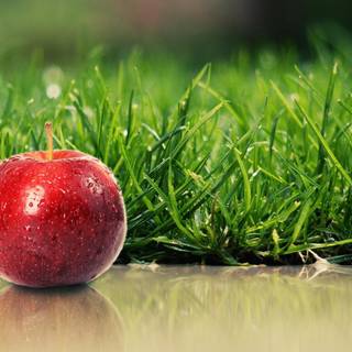Apple food wallpaper