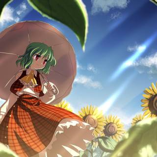 Yuuka Kazami wallpaper