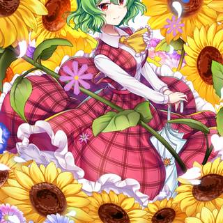 Yuuka Kazami wallpaper