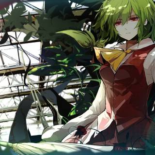 Yuuka Kazami wallpaper