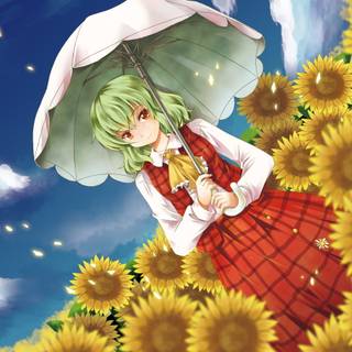 Yuuka Kazami wallpaper