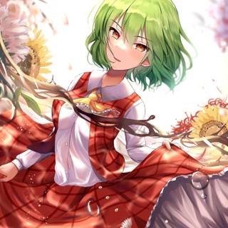 Yuuka Kazami wallpaper