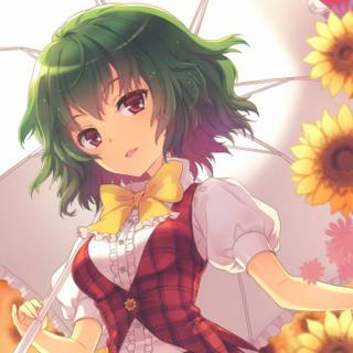 Yuuka Kazami wallpaper