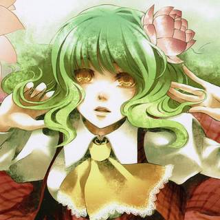 Yuuka Kazami wallpaper