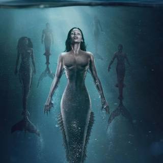 Siren 4k desktop wallpaper