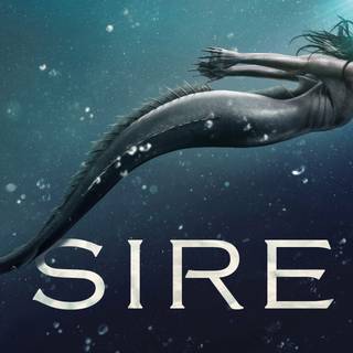 Siren 4k desktop wallpaper