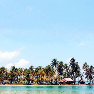 Summer sea island wallpaper