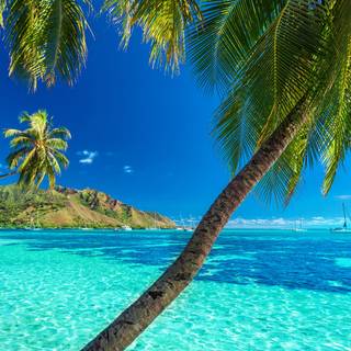 Summer sea island wallpaper