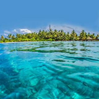 Summer sea island wallpaper