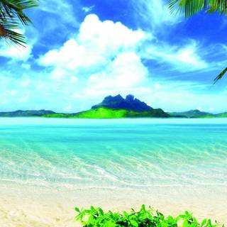 Summer sea island wallpaper