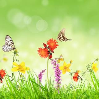 4k spring laptop wallpaper