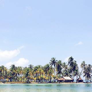 Summer sea island wallpaper