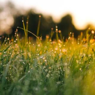 Spring sunset 4k wallpaper