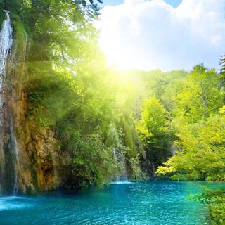 Sunny spring lake wallpaper