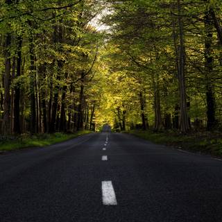 4k spring laptop wallpaper