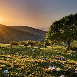 Nature hills wallpaper