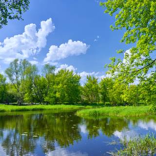 Sunny spring lake wallpaper