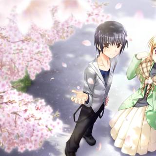 Spring anime couple wallpaper