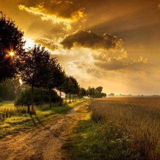 Spring sunset 4k wallpaper