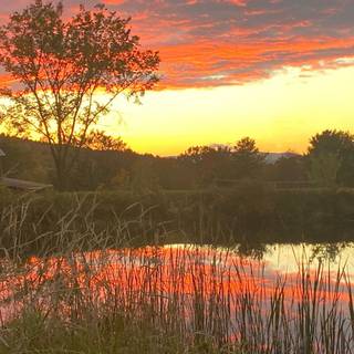 Barn spring wallpaper