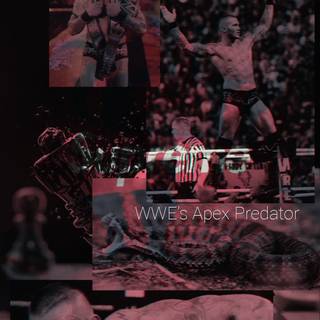 Randy Orton 2024 wallpaper