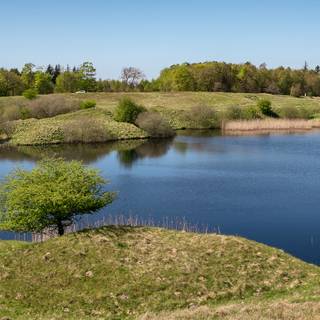 Sunny spring lake wallpaper
