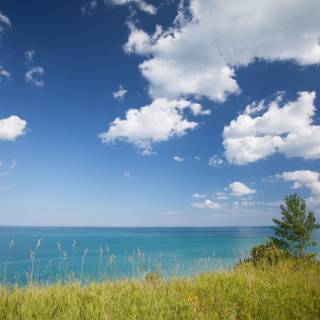 Sunny spring lake wallpaper