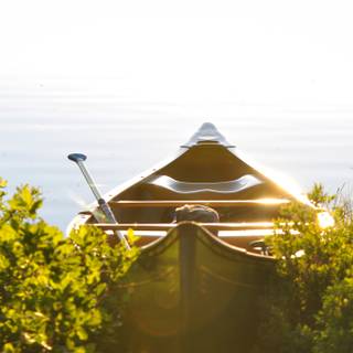 Sunny spring lake wallpaper