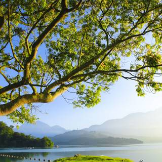 Sunny spring lake wallpaper