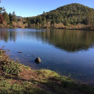 Sunny spring lake wallpaper