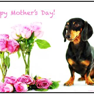 Happy Mothers Day 2024 wallpaper