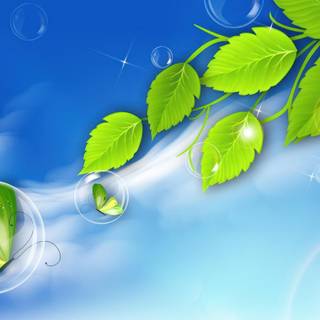 Windows Aero wallpaper