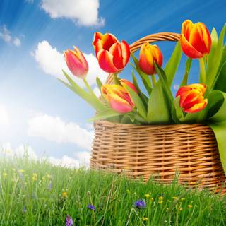 Spring baskets wallpaper