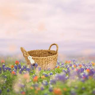 Spring baskets wallpaper