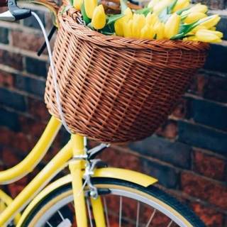 Spring baskets wallpaper