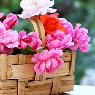 Spring baskets wallpaper