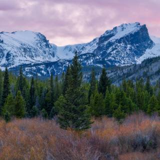 Spring time panorama wallpaper